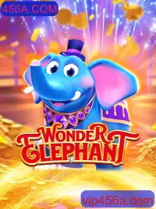 Explorando o Mundo de WonderElephant: A Fascinante Jornada de 456A.COM